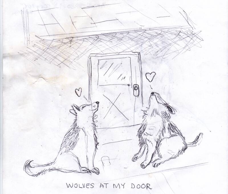 boom-drawing-wolfs-at-my-door