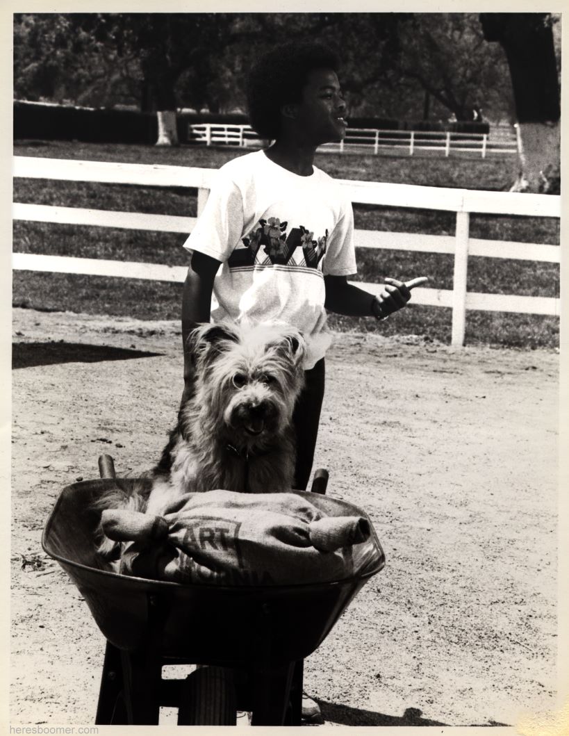 Boomer with Todd Bridges