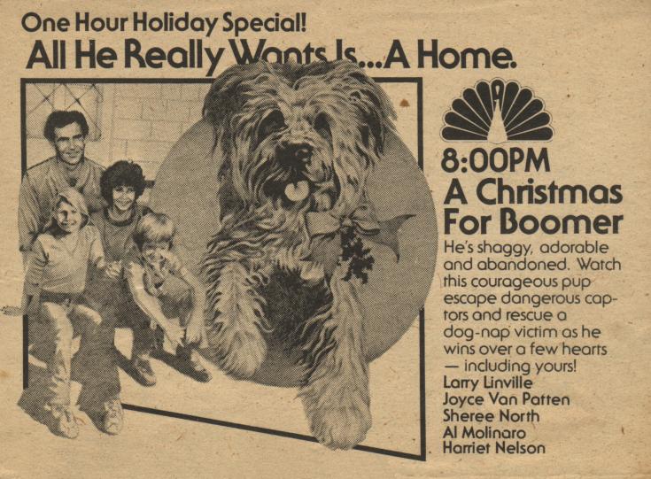 A Christmas For Boomer TV Guide ad